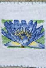 blue lotus