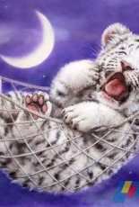 HAED HAEKAHMINI 117 Mini Hammock White Tiger by Kayomi Harai