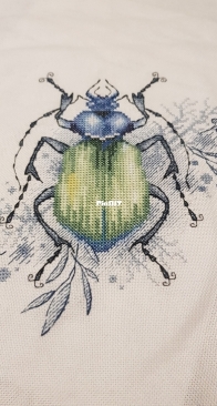 The Green Beetle by Alla Erokhova/Erohova