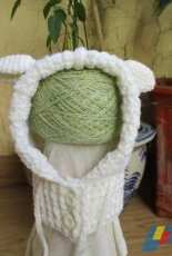 Hooded cowl