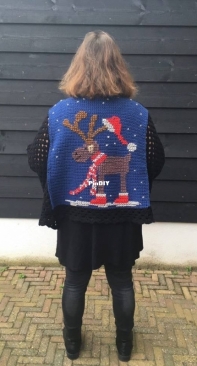 winter sweater chrochet and embrodery christmas moose
