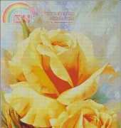 I Love CrossStitch IL-005 - Yellow Roses