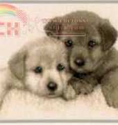 Vervaco 75.344 Two pups