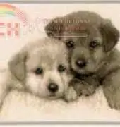Vervaco 75.344 Two pups