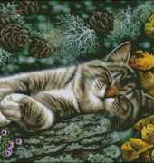 HAED HAEIAG1241 Wild Corner - Irina Garmashova