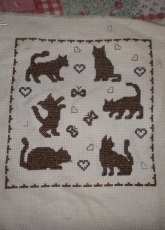 petits chats