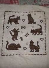 petits chats