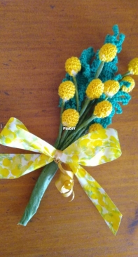 Spring of mimosa