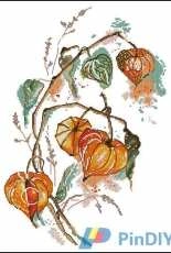 Panna C-1837 - Physalis