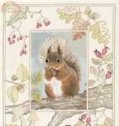 Derwentwater Designs WIL4 Wildlife - Red Squirrel