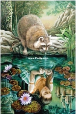 Chimera - Raccoon Dreams