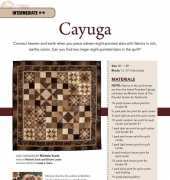 Michele Scott-Cayuga Sixteen Point Star-Free Quilt Pattern