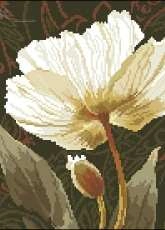 Alisa 2-17 White Flowers-Sunlit pcs