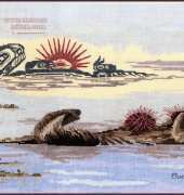 The Stitching Studio by Sue Coleman AC-333 Urchins XSD