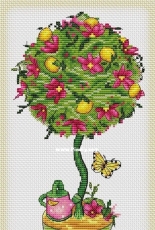 Lemon Tree Topiary by Asya Dinershtein