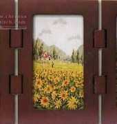 Flowers Fields