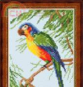 Megat 801 Parrot