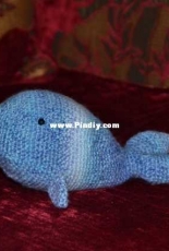 my little whale from Vetkablog