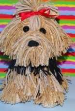 Yorkie