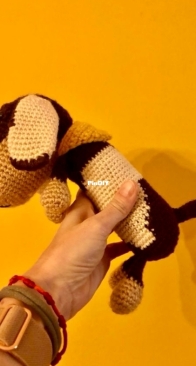 Dachshund