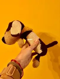 Dachshund