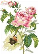 Alisa 2-13 Rose and butterfly pcs