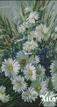 Chimera - Daisies And Cornflowers