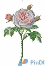 DMC - Pink Rose