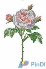 DMC - Pink Rose