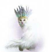 HAEBEL 4137 Bohemium Cat by Bec Winnel