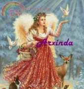 Arxinda - Angel de Navidad