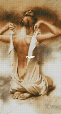 Chimera Gentle Curves William Whitaker