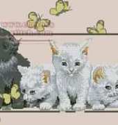 OOE 76420 One grey among white