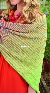 Tammy Canavan-Soldaat - Read Between the Lines Shawl