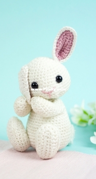 Mi fil mi Calin - Aurelie Garcin - Binky the Bunny - English