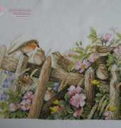 My Birds are finished