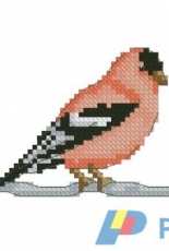 Flight of Fancy - Bullfinch from Cross Stitch Crazy 212