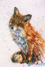 RTO M70019 - Foxy