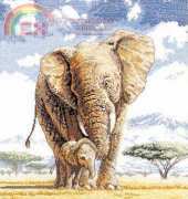 DMC - K03658 Elephants