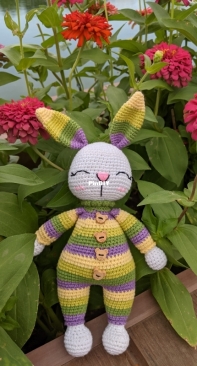 Rainbow rabbit