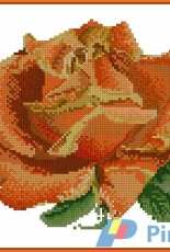 Thea Gouverneur 3075 Red Rose