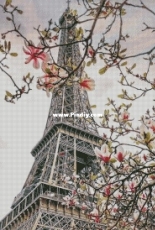 Chimera - Spring Paris