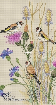 Goldfinches by Anastasia Berg XSD