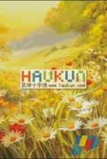 Haukun F-097 - Field