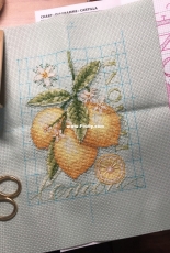 DIM-70-65132 Lemons