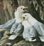Intricate Cross Stitch - Seagulls