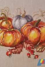 Pumpkins by Anna Kireenkova