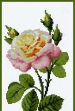 Riolis 1331 Wonderful Rose xsd
