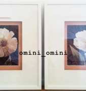 White flowers by "Alisa"