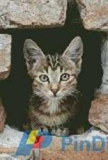 Artecy Cross Stitch - Kitten in Wall